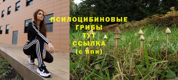 винт Кодинск