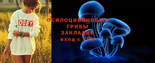 хмурый Козельск