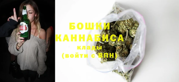 2c-b Козловка