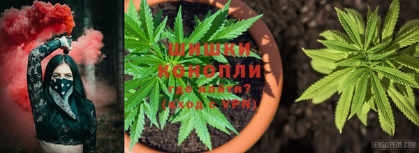 хмурый Козельск