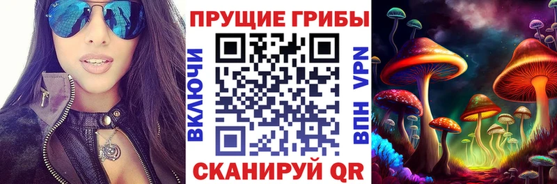 Псилоцибиновые грибы Cubensis  Купить закладки  Красноармейск 